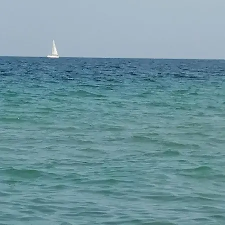 захариеви 4 Apartment *